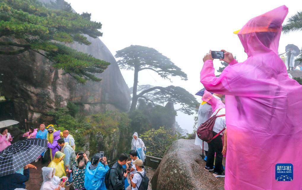 世爵用户登录平台注册